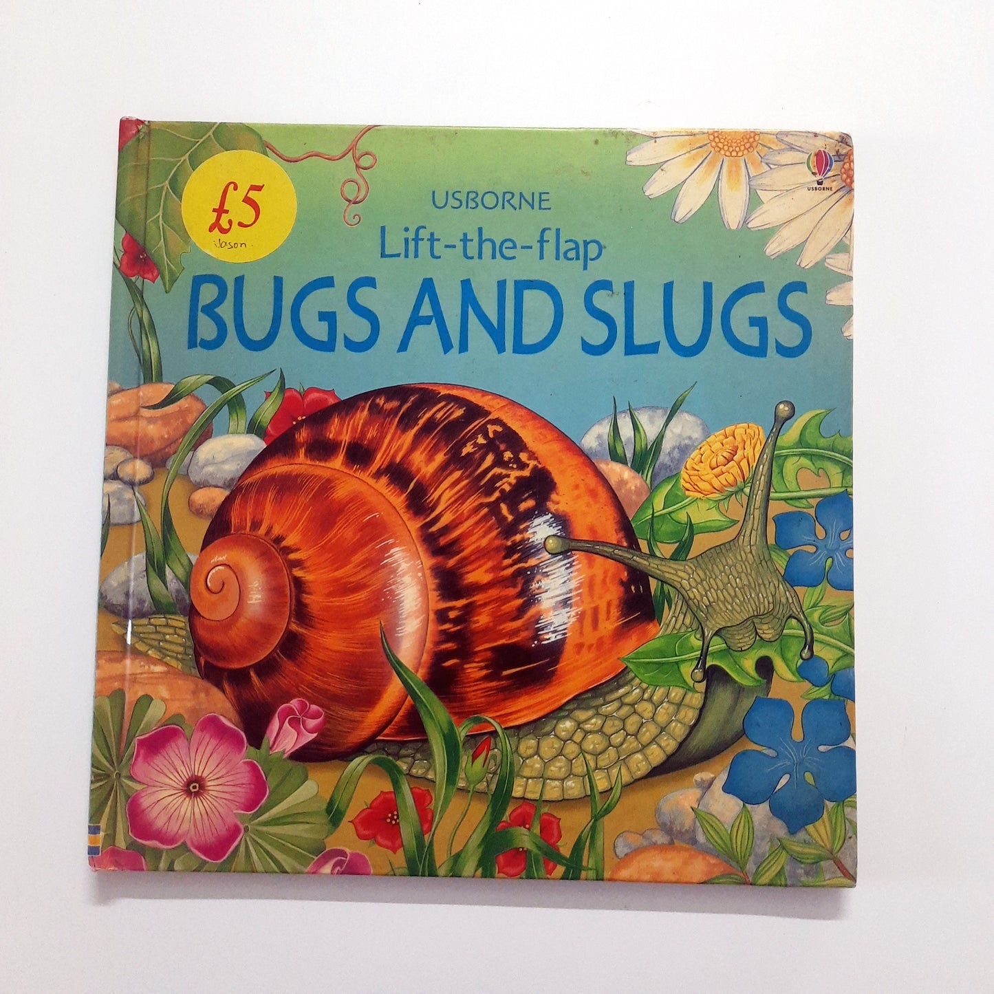 Usborne Bugs and Slugs