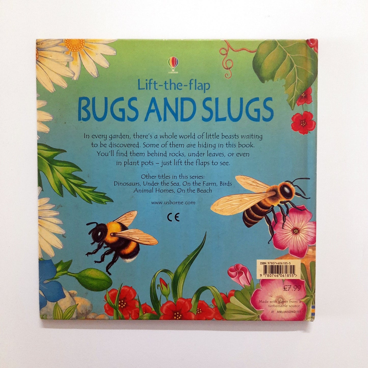 Usborne Bugs and Slugs