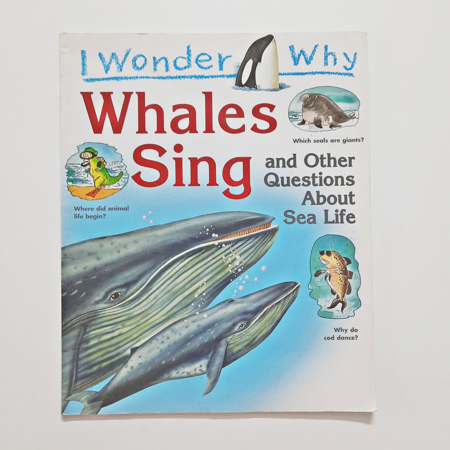 I wonder why Whales Sing