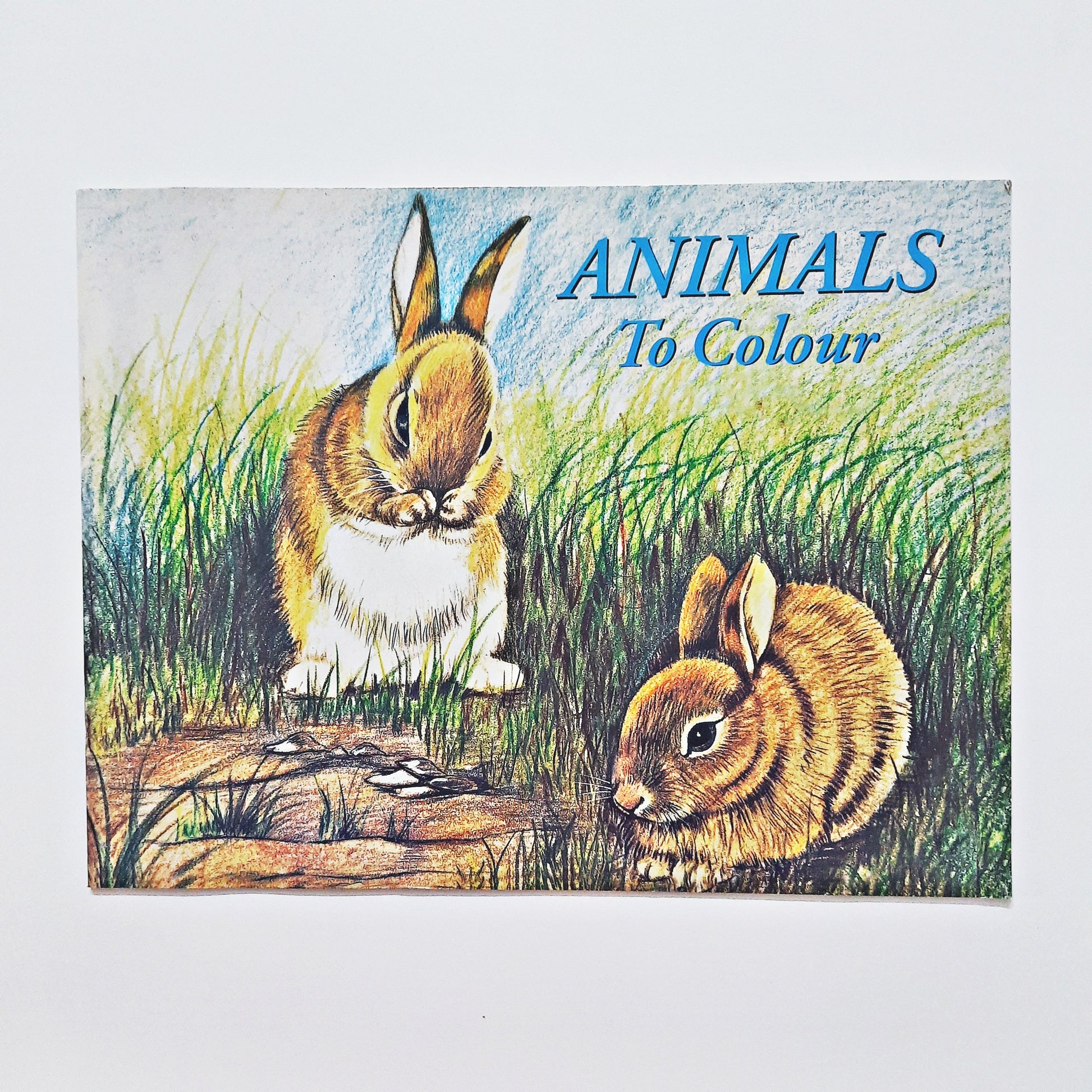 Animals to Colour